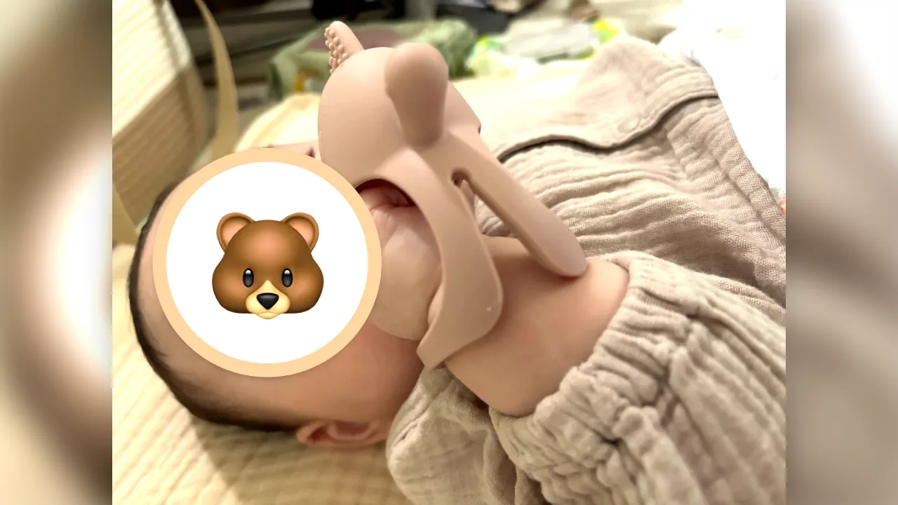 かみかみウサを口に入れてしゃぶる生後4か月の息子