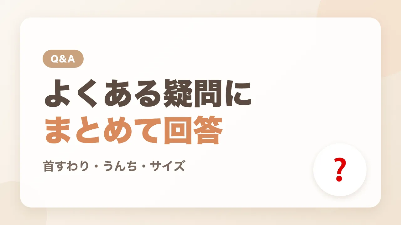 パンツ型おむつへの切り替えのよくある疑問